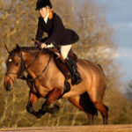 Horse riding with wrist warmers