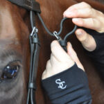 Tacking up wearing wrist warmers
