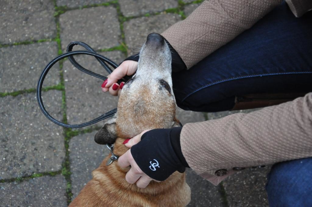 Dog Walking Wrist Warmers and Gloves