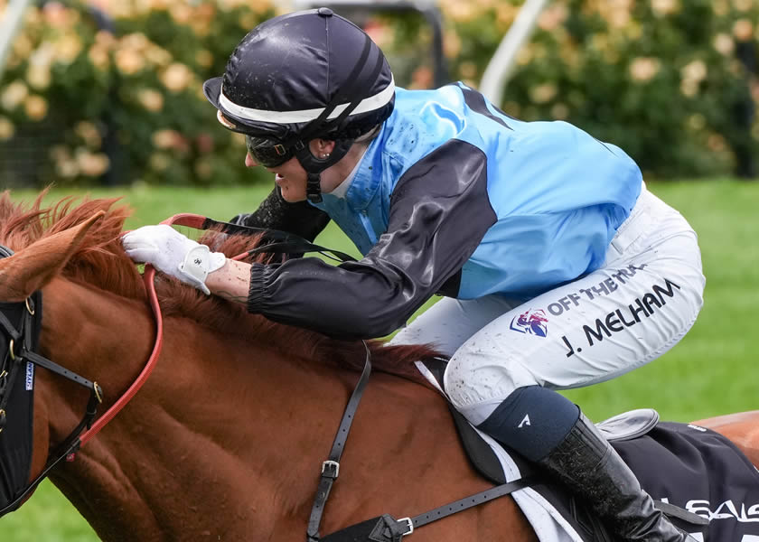 Lightweight Airmesh Riding Glove